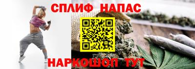 амф Моздок