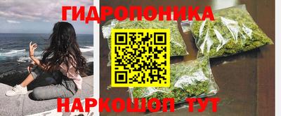прущие грибы Можга
