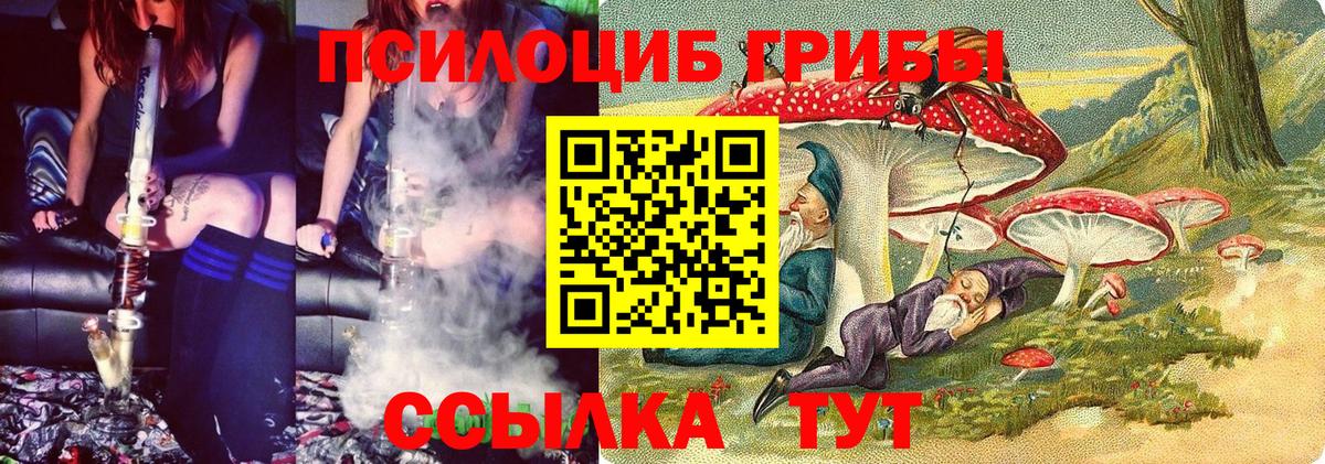 Тихвин  Галлюциногенные грибы Cubensis  Вход с VPN 