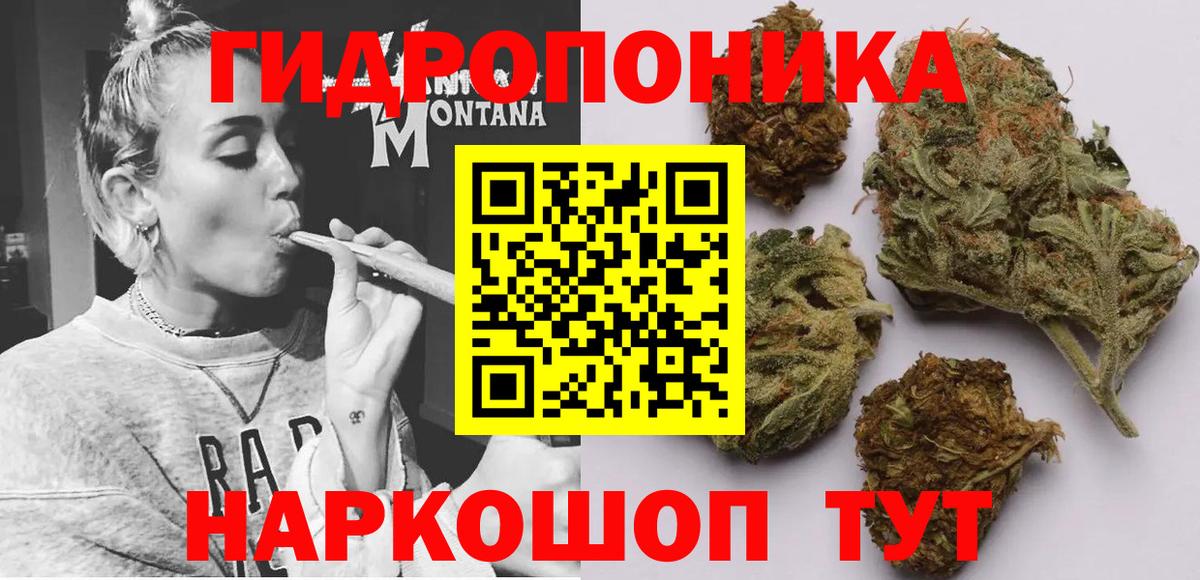 Шишки марихуана марихуана  Бошки Шишки тримм  Бошки марихуана Bruce Banner  Тихвин  Вход с VPN 